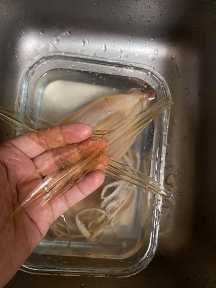 樓主誤將「透明膠片」狀的魷魚骨當成飲管。