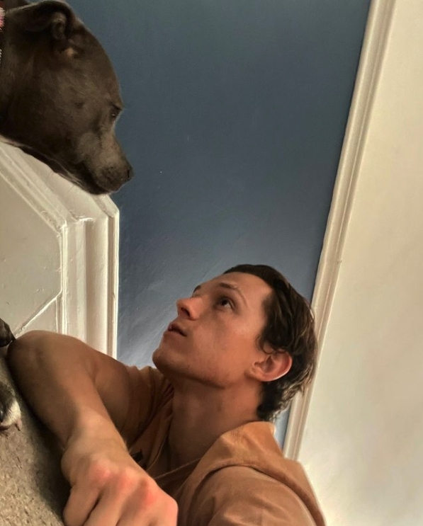 原來本人相當害怕蜘蛛