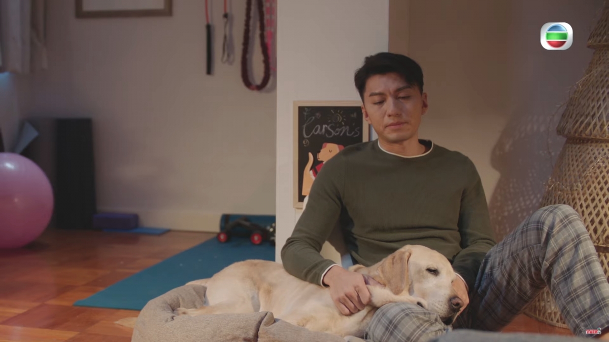 憑《刑偵日記》及《把關者們》兩套劇集角逐視帝的袁偉豪就無緣入圍十強~