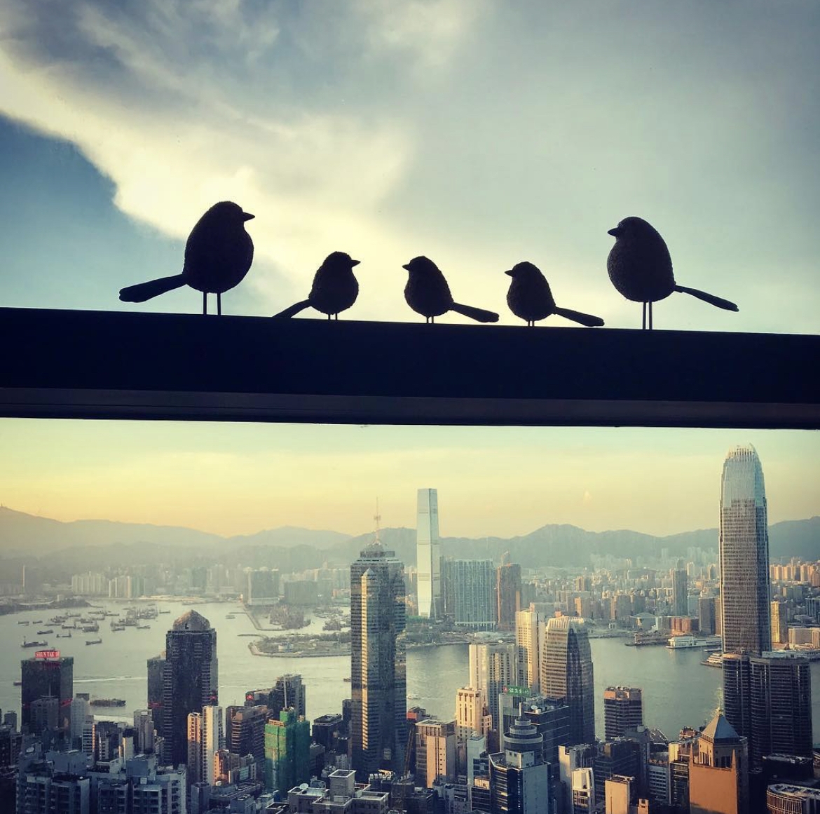 客廳的落地玻璃窗對正中環中心商業地帶﹐更可望到維港海景!