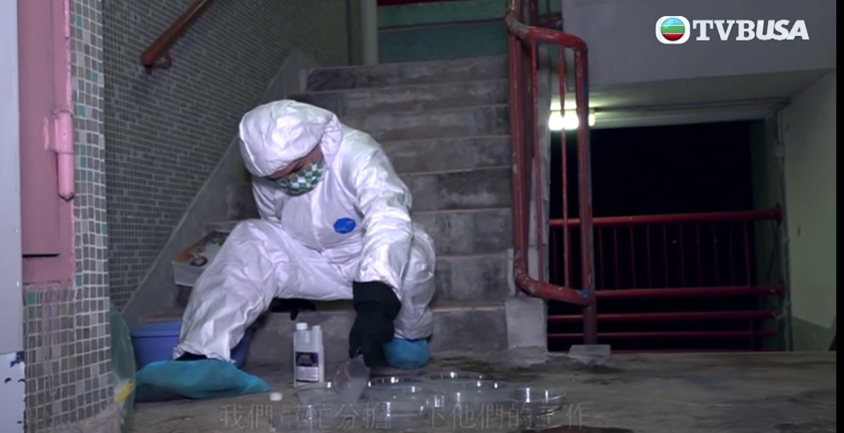 在後樓梯調配曱甴藥水