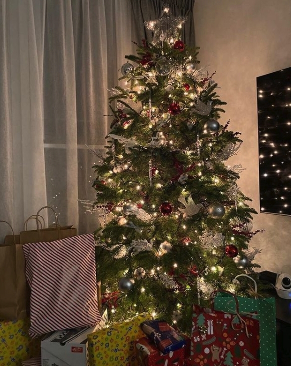 可以看到豪宅樓底很高