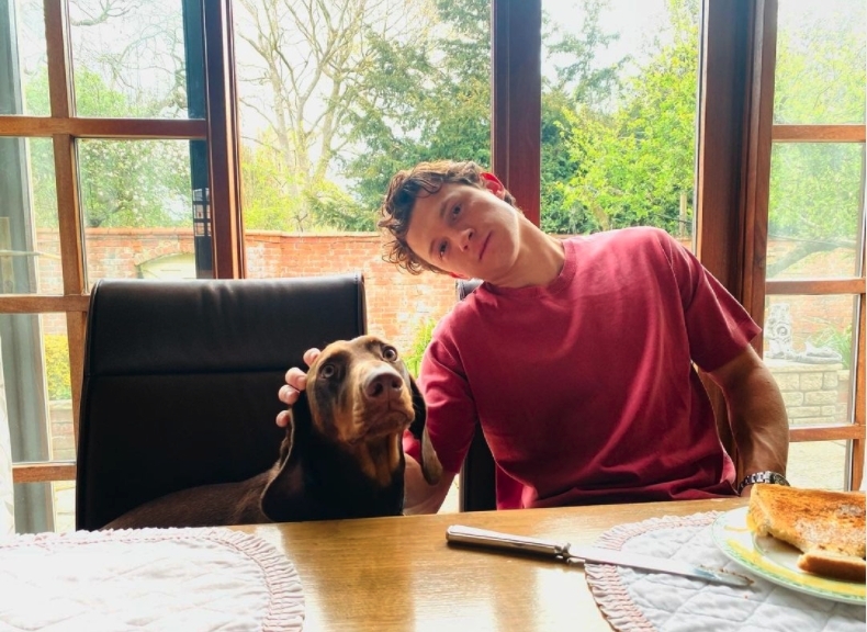 Tom Holland自小就學習跳舞,更曾飾演過踢踏舞劇《舞動人生》的主角!