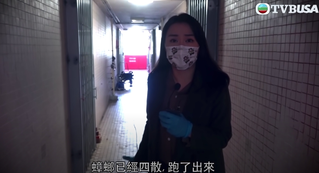 曱甴湧出走廊,依然堅持不走