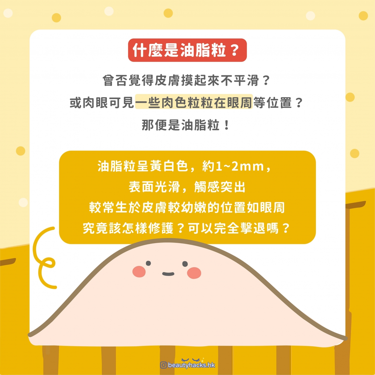 消除油脂粒 - 甚麼是油脂粒？