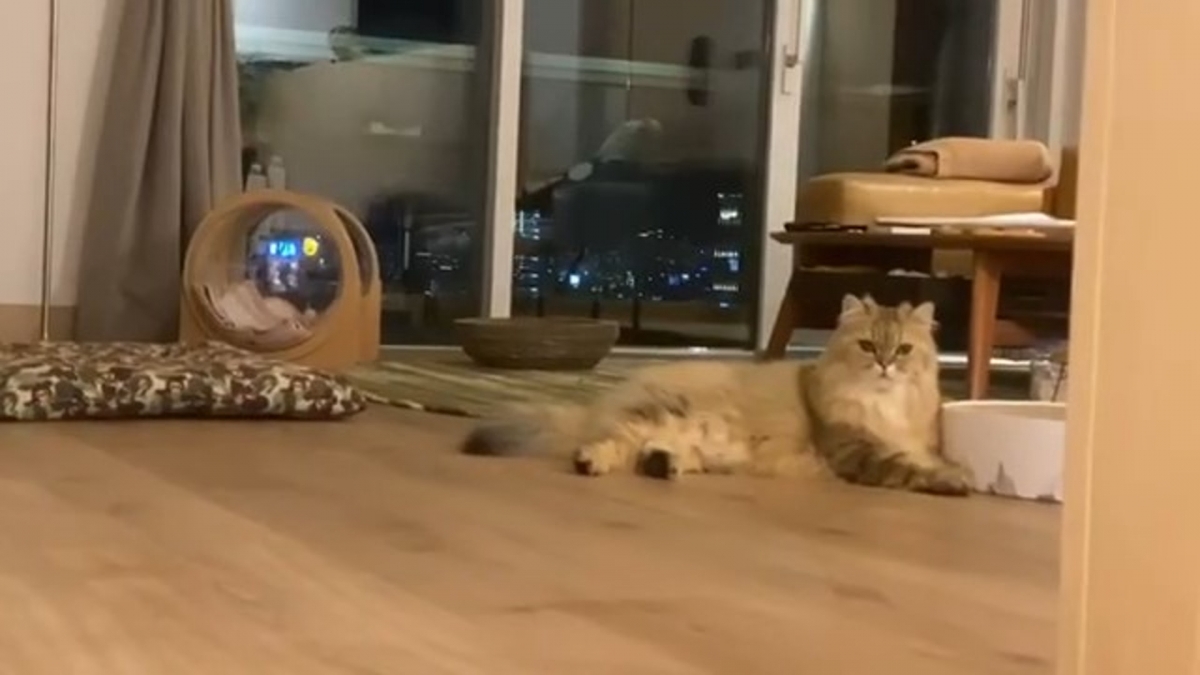 豪宅空間感很大