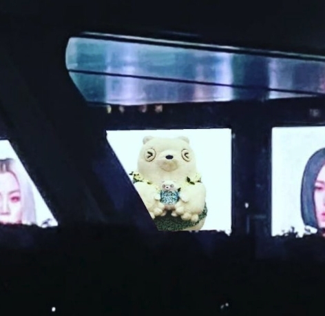 生Bear都玩埋一份