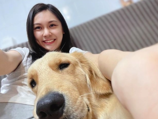 究竟真相是什麼?