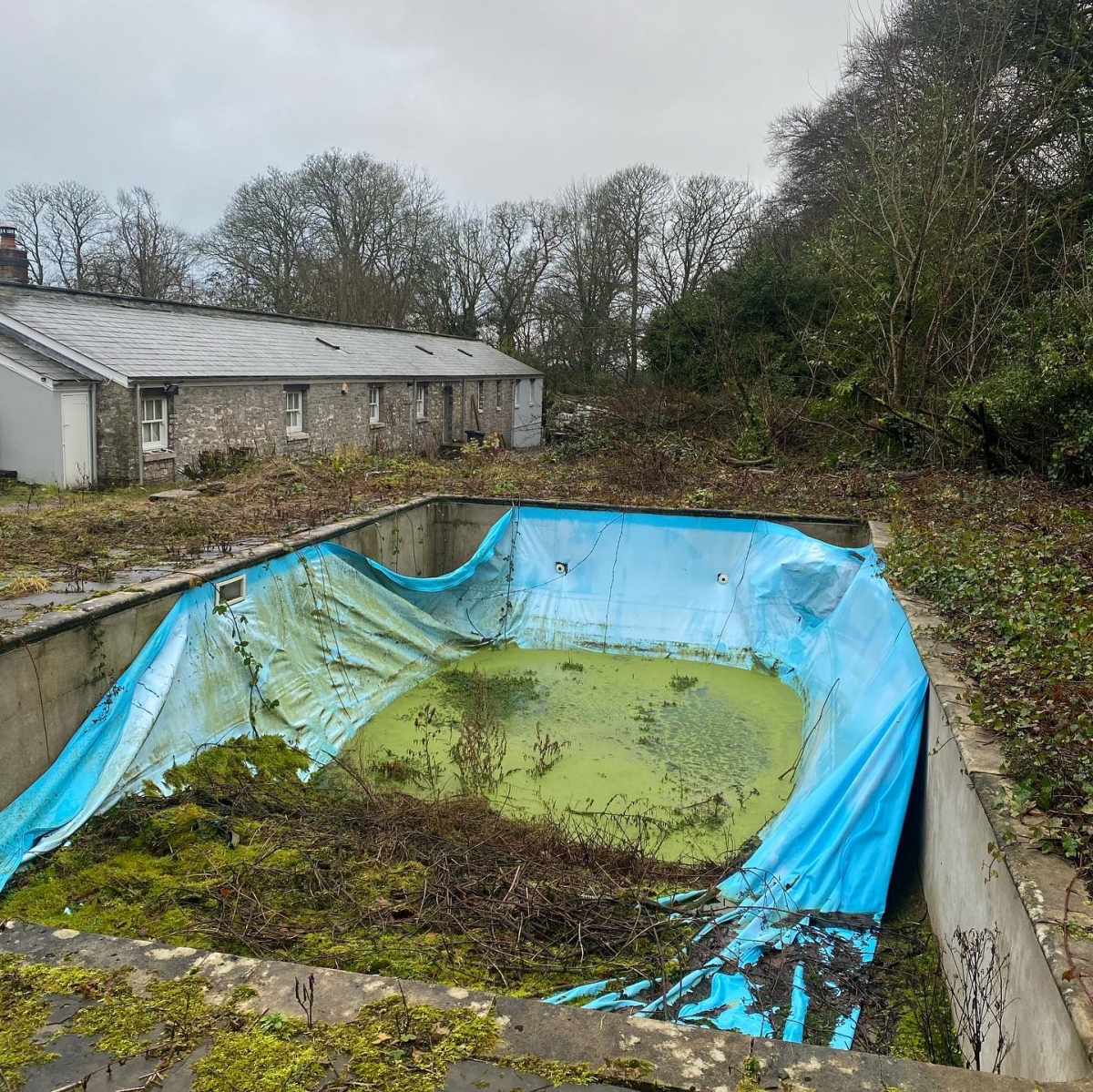 泳池荒廢了,上面只蓋了一塊網~