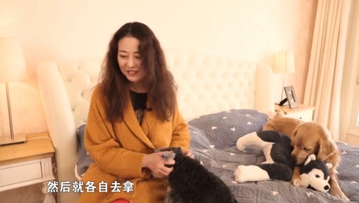 King size大床,讓狗仔有足夠的空間睡覺和休息!