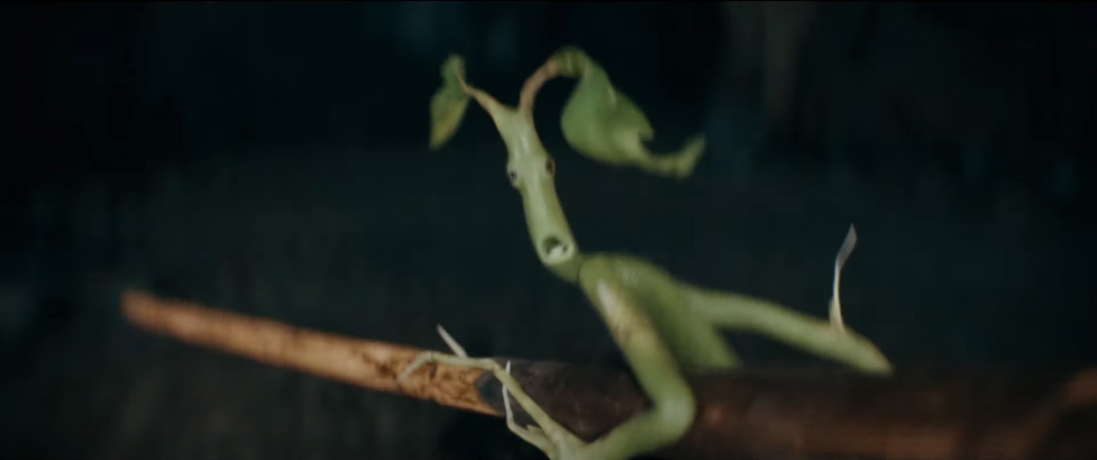 Bowtruckle