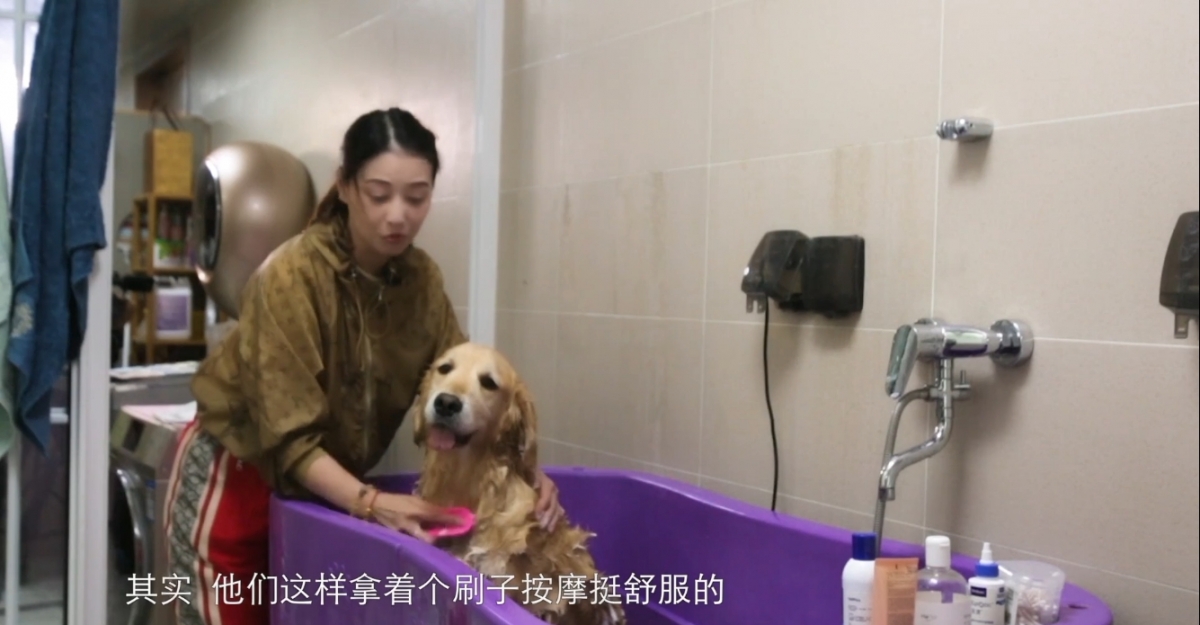 親自幫狗仔做Spa﹑按摩和美容!