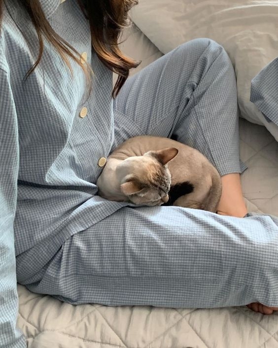 對抗孤獨感,由學習與自己相處開始