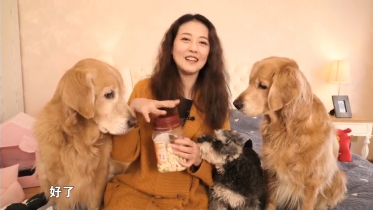 不時在社交平台分享與家中幾隻愛犬的日常生活