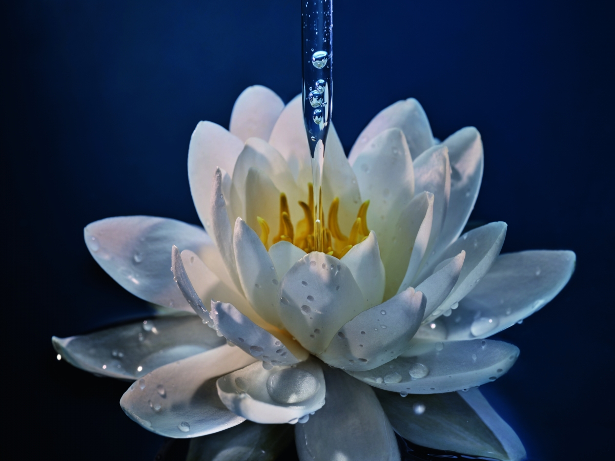 全新抗污染淨肌泡沫是Dior首個選用法國睡蓮為主要成分的淨肌潔膚系列。