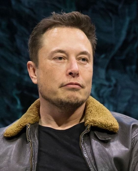 Elon Musk出手
