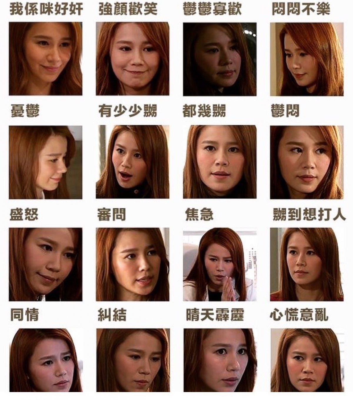 網友做的圖