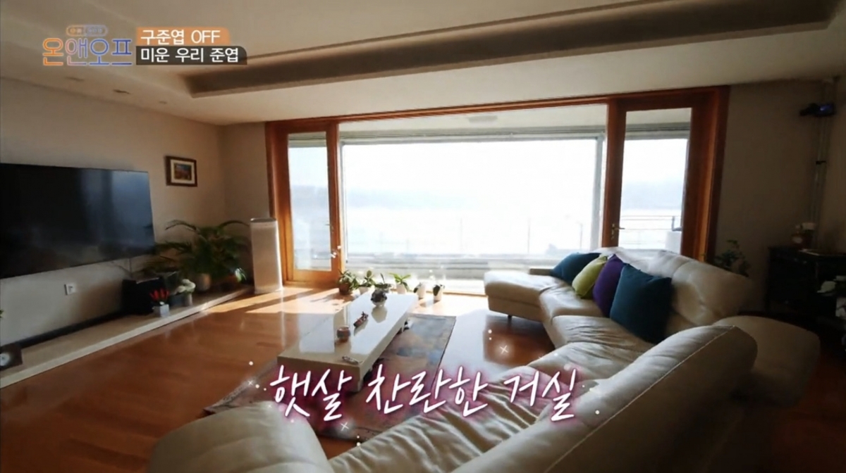 客廳飽覽一望無際漢江美景~