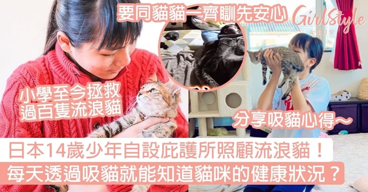 日本14歲少年設庇護所照顧流浪貓！每天透過吸貓就能知道貓咪的健康狀況？