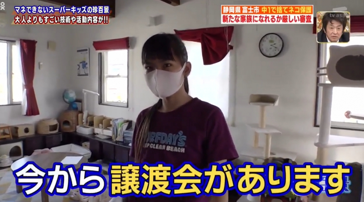 幫忙找領養家庭