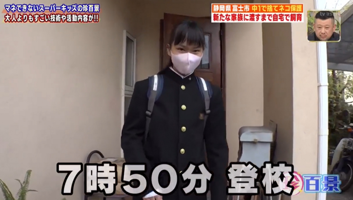 上學也放不下家裡的貓貓