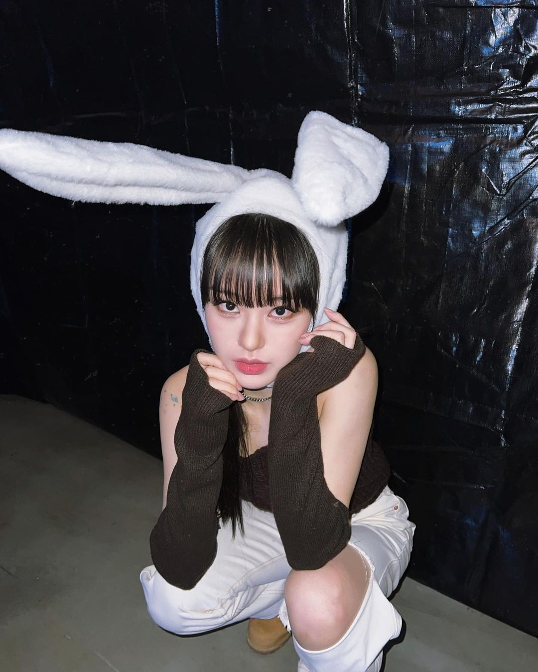 鼻頭位置也要掃上陰影,仿畫出小貓的圓鼻頭的效果。