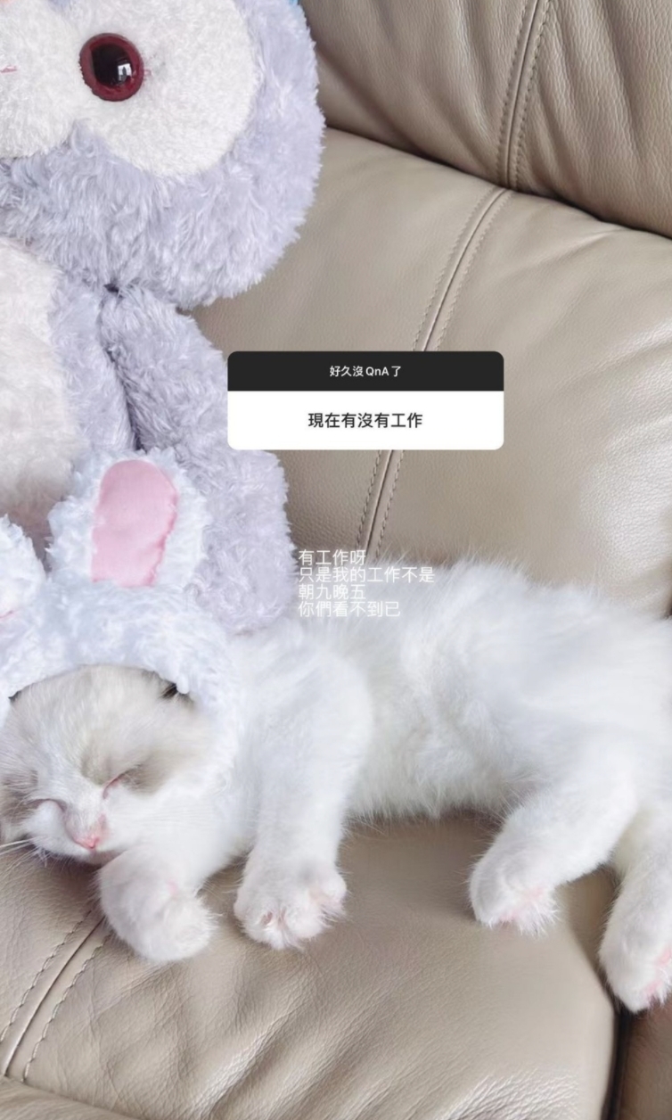 Cammi表示:「有工作啊,只是我的工作不是朝九晚五,你們看不到而已。」