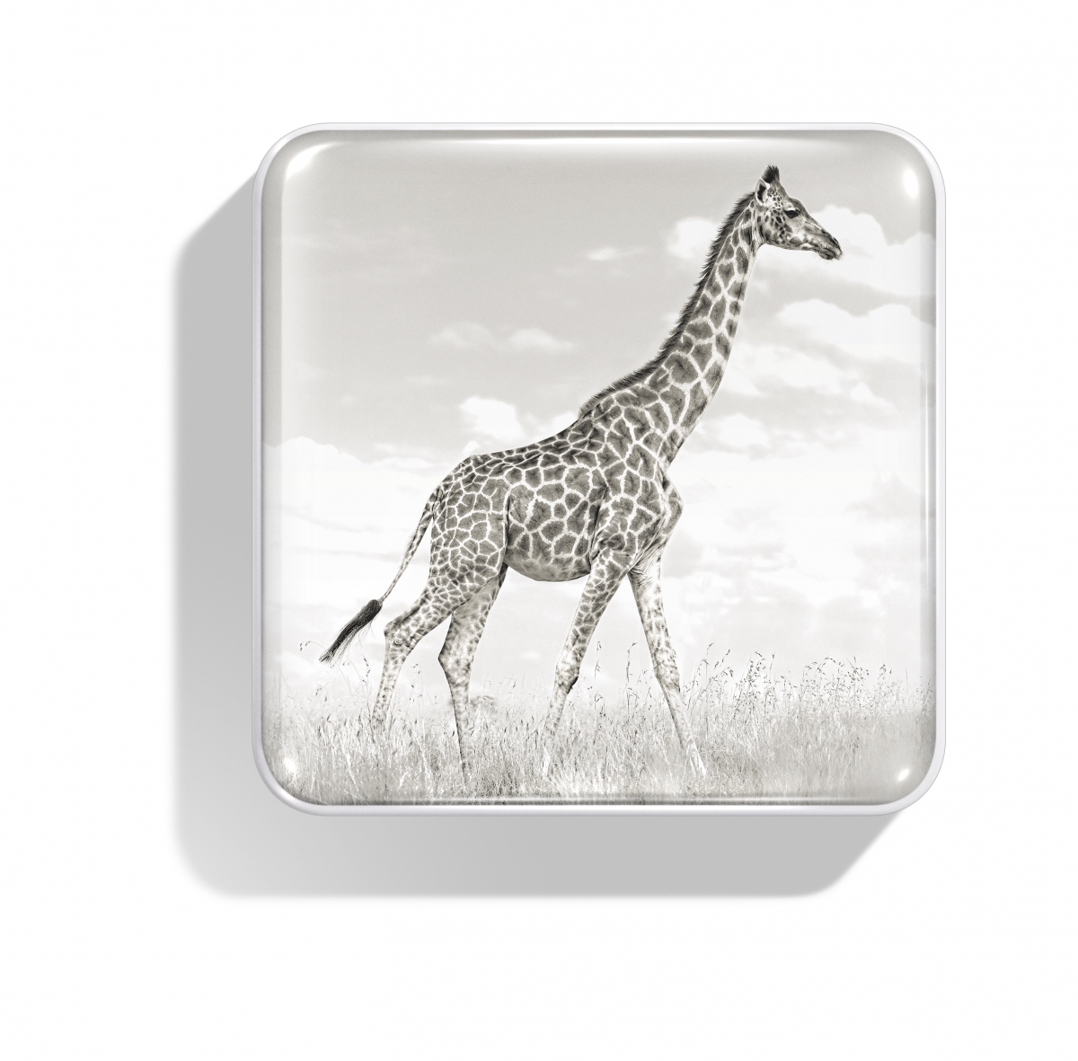 Chantecaille Giraffe Eye Quartet