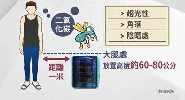 來源：台灣三立新聞截圖