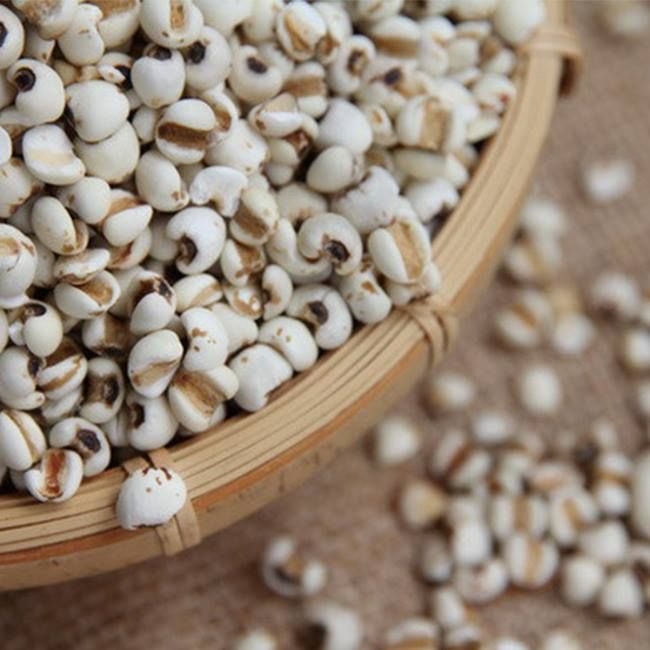 去水腫飲食1︰ 薏仁