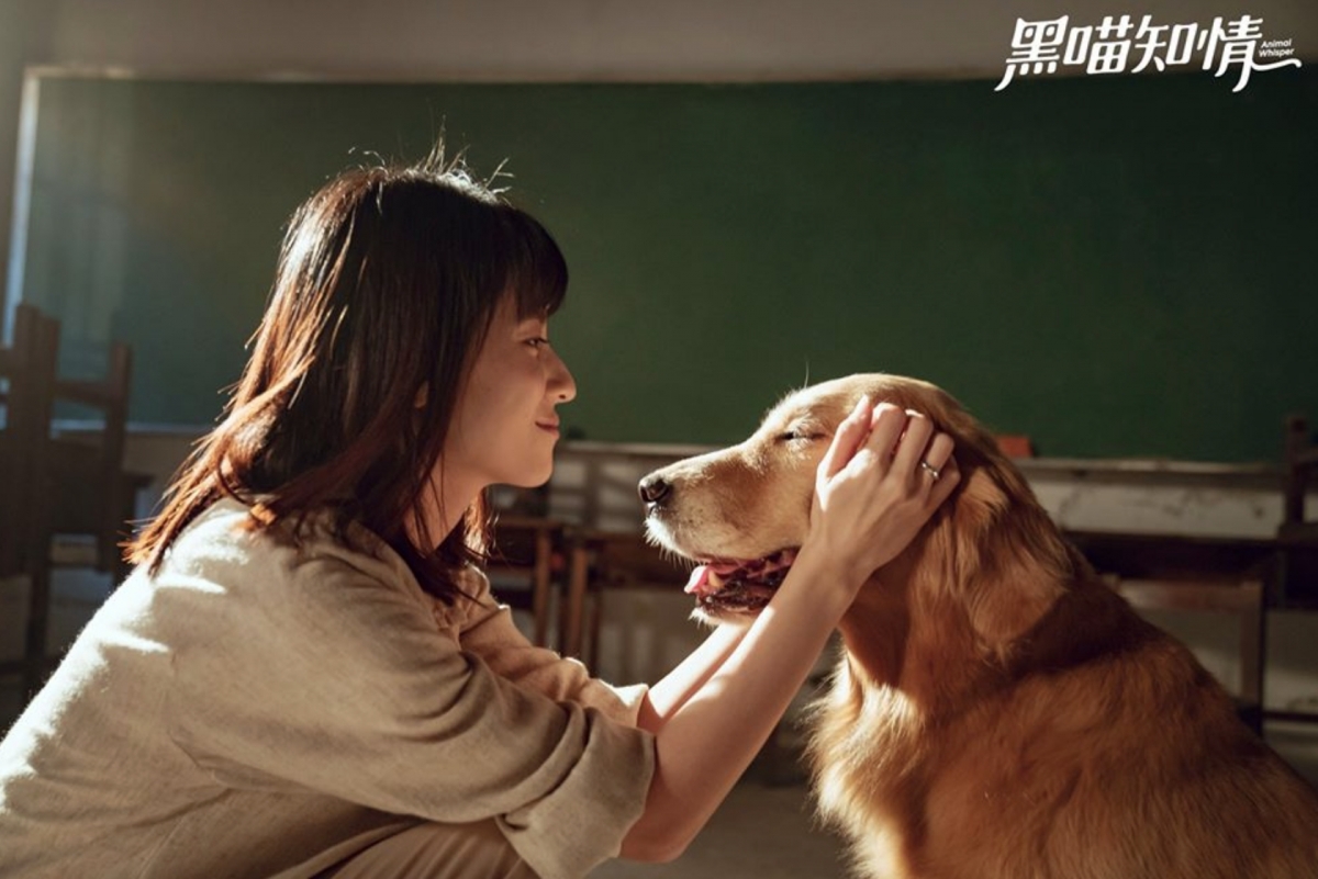 有不少網民表示自己同樣會先抱起寵物