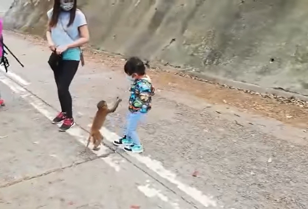 大人應該照顧好小朋友的安全