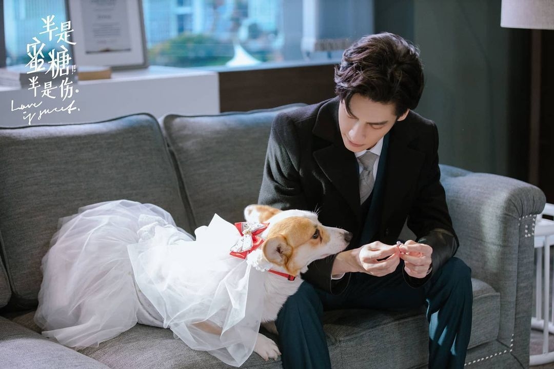 樓主立即一手抓起狗仔,令樓主沒有手護着女友!