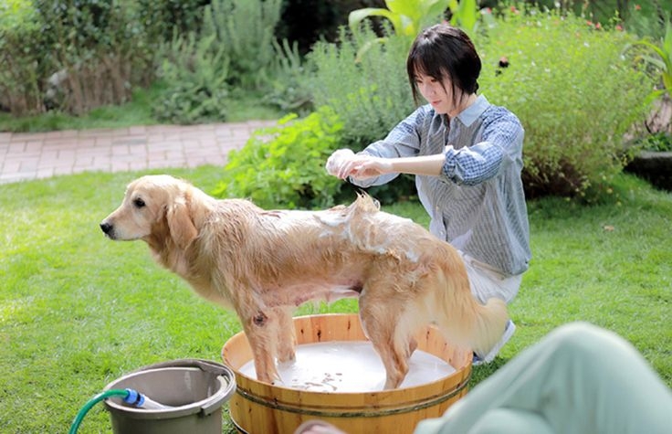 網民認為就算自己也很愛狗,但看到男友這樣做都會感到受傷