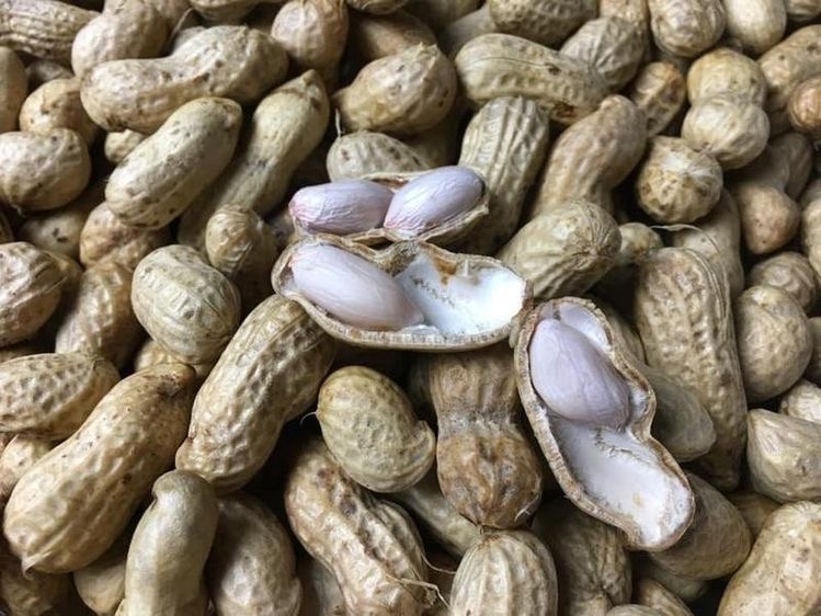 花生亦含有豐富的葉酸,有助對抗大腦的認知功能衰退!