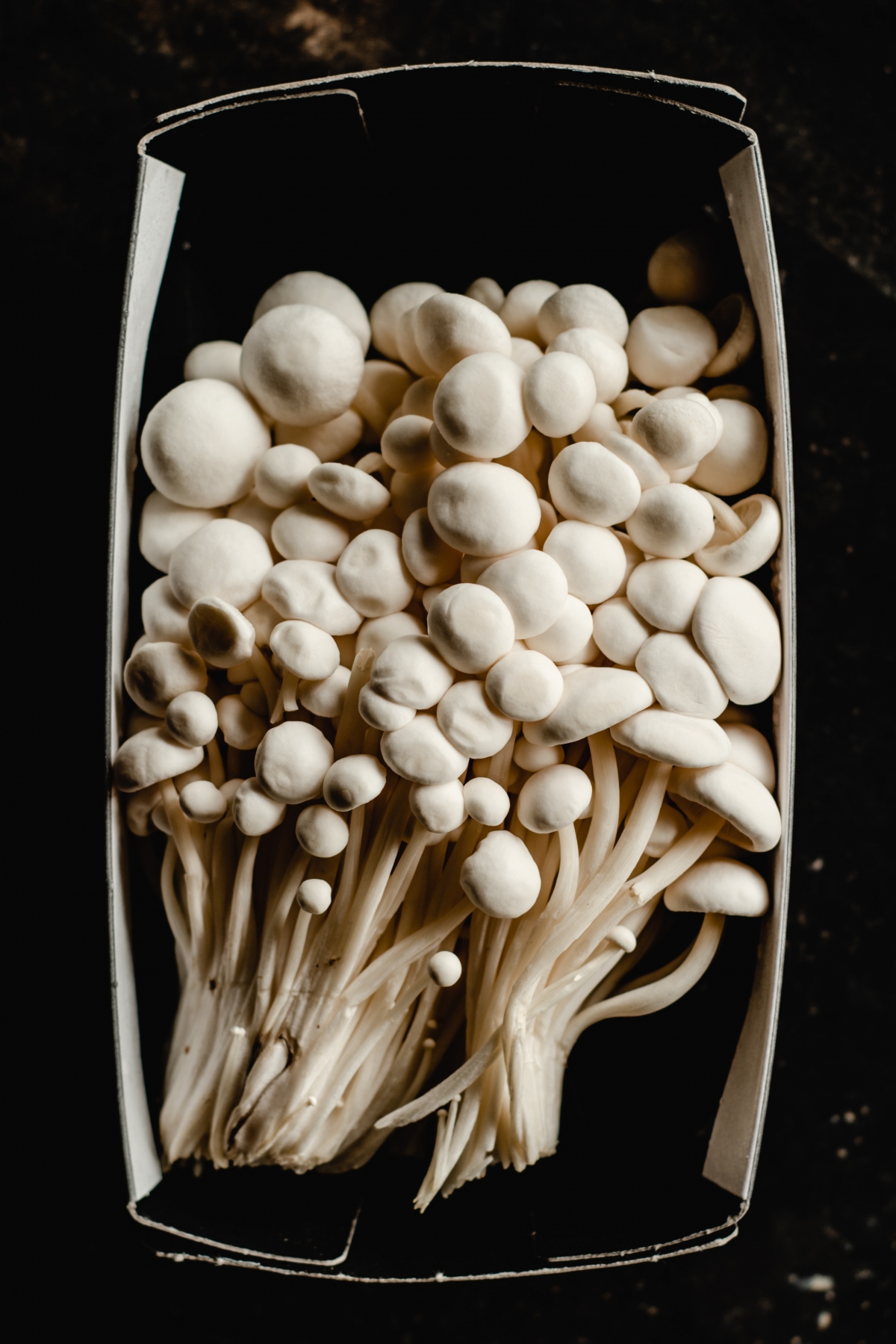 金針菇(Enoki)