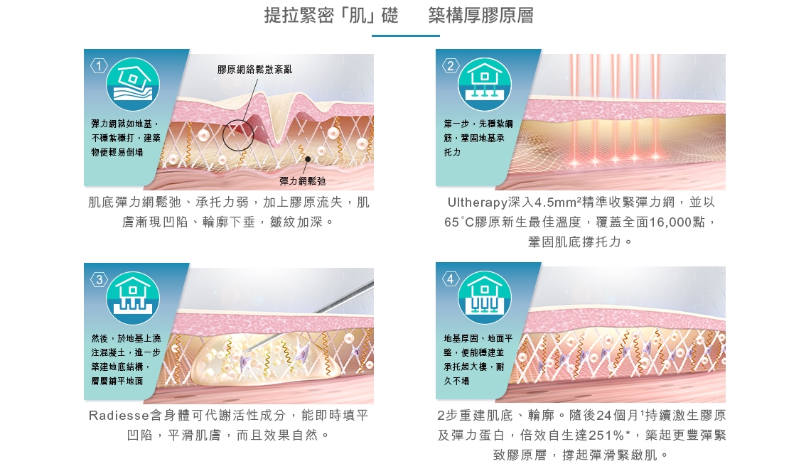 提拉緊密「肌」礎 築構厚膠原層