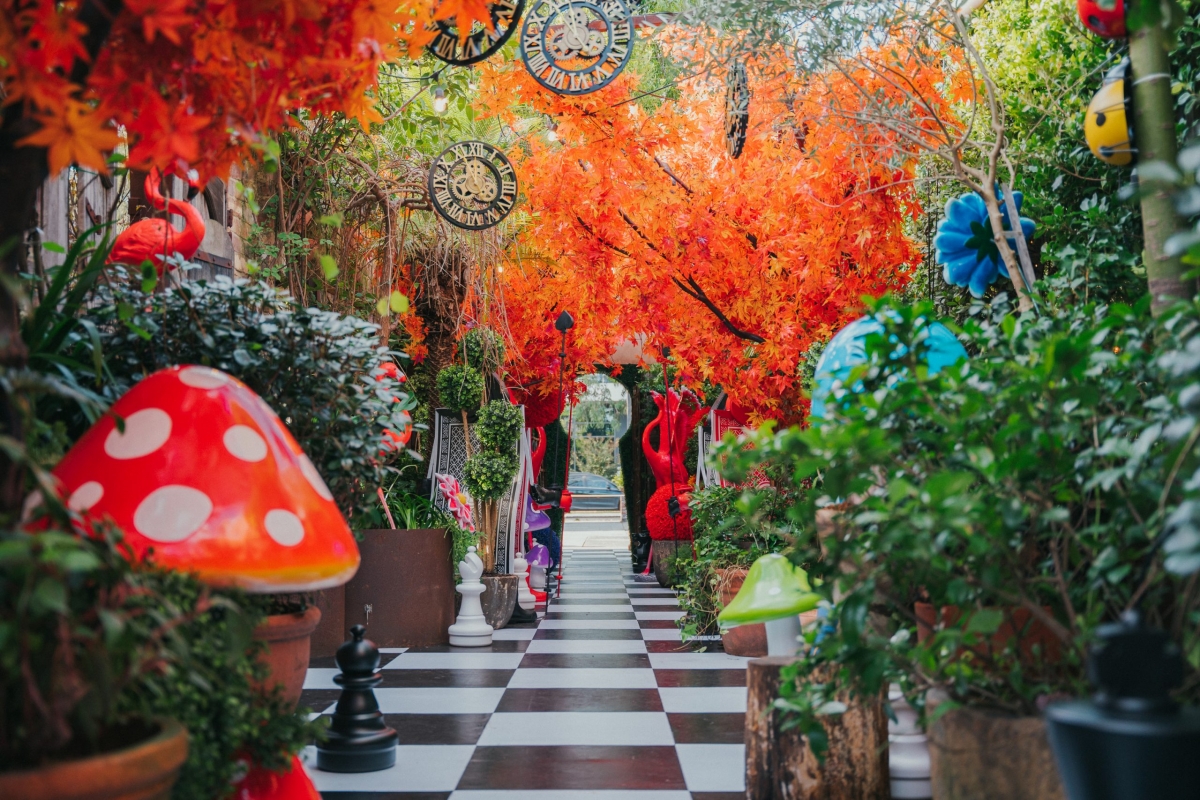 白天的氛圍較為愉快又明亮～