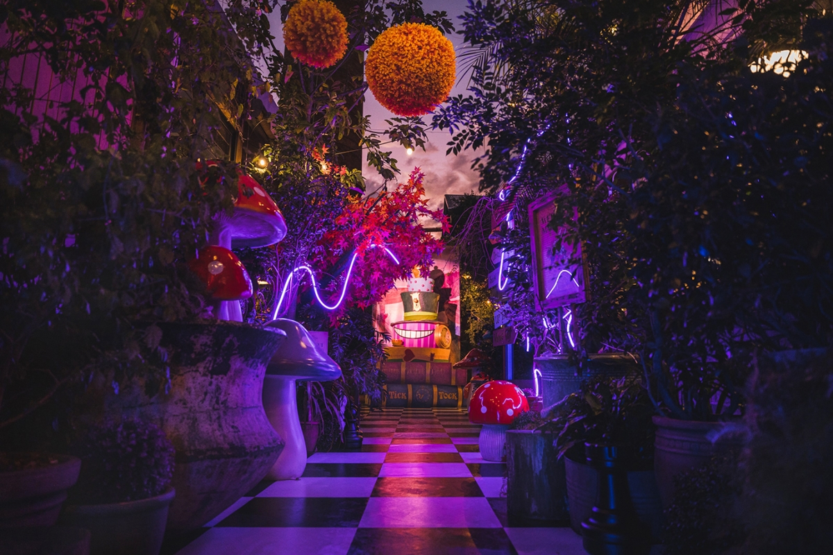 晚上會變成充滿神秘感的仙境～