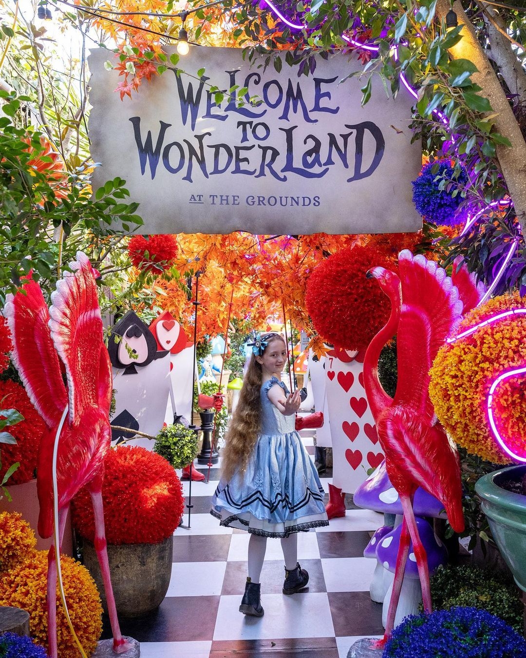 一進去便看到左右兩邊的紅鶴和啤牌軍隊在迎接大家！