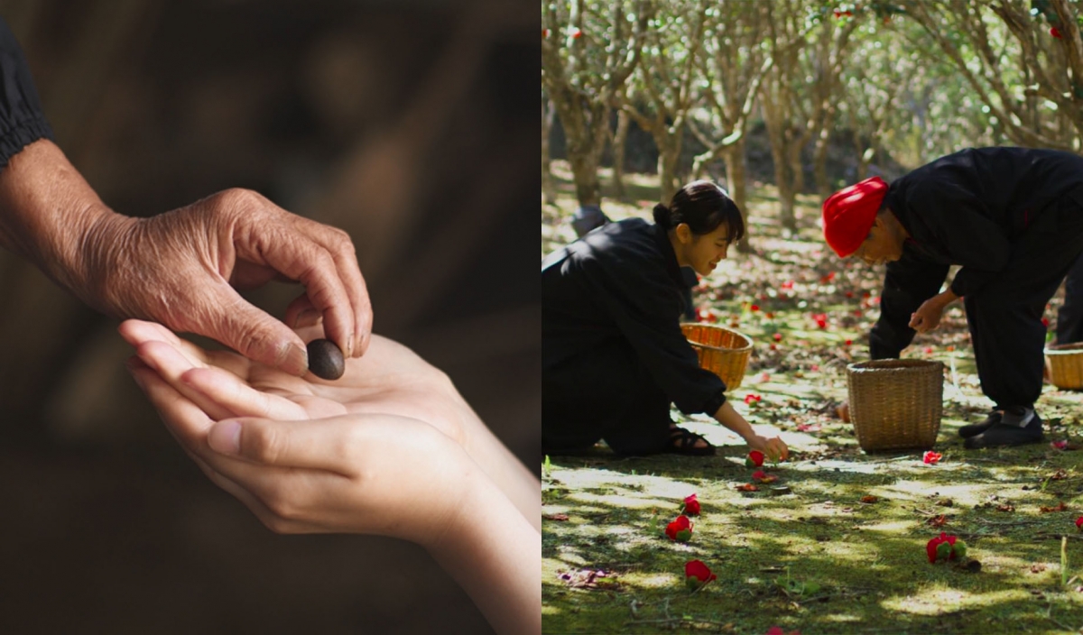 shu uemura銳意竭力保存世代相傳的山茶花播種知識及精湛傳統技藝