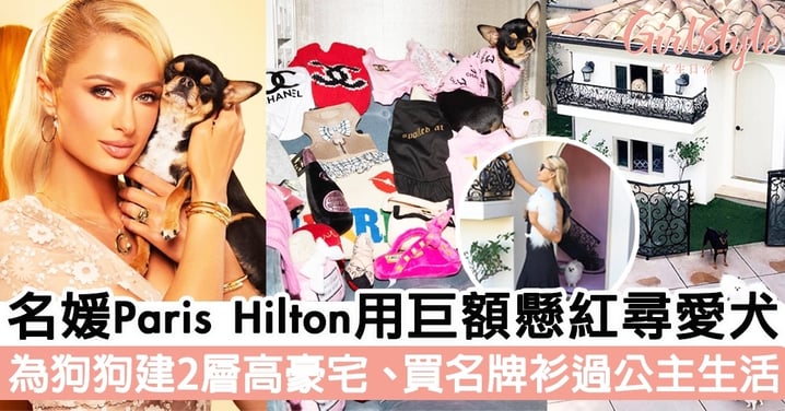 名媛Paris Hilton用巨額懸紅尋愛犬！為狗狗建2層高豪宅、買名牌衫過公主生活！