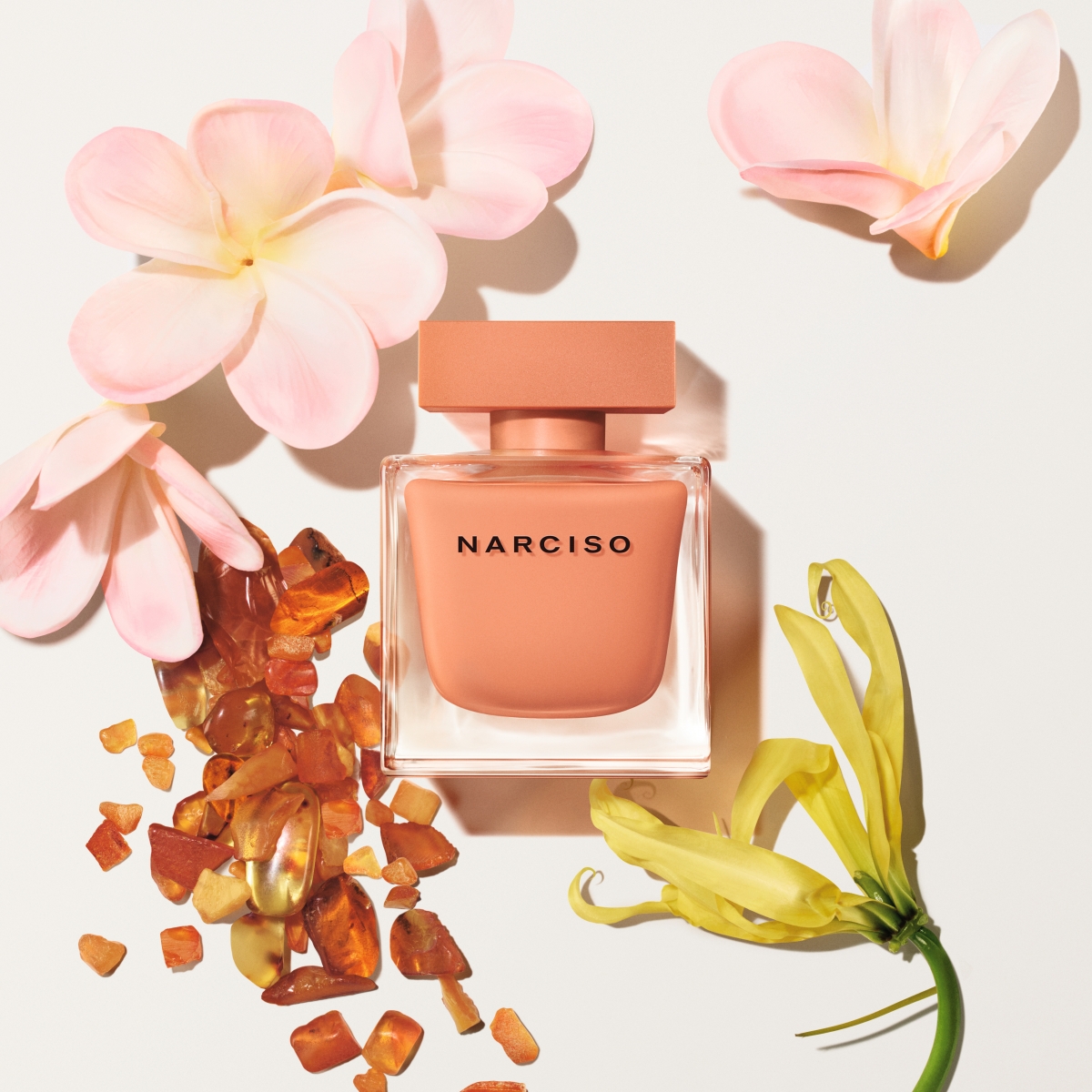 NARCISO ambrée淡香精套裝:純淨麝香展現出女生感性+內在美