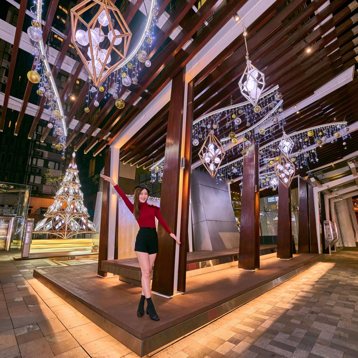 星街小區_Enchanting Snowflakes 星幻.雪花_2