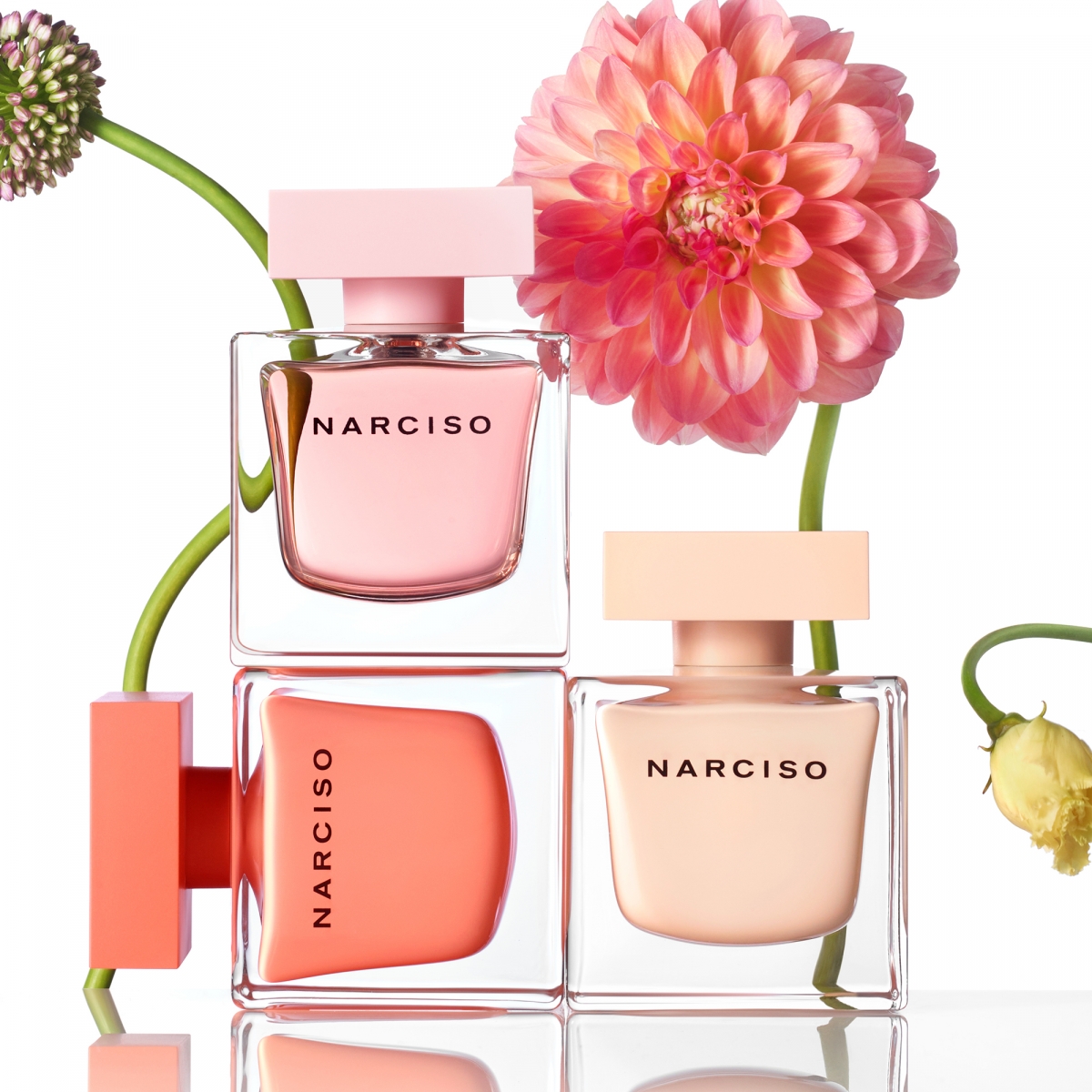 NARCISO系列混合了麝香與木香,突顯了女性的性感嫵媚。