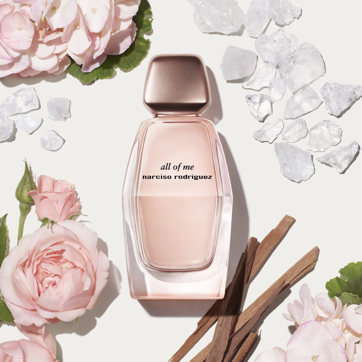 全新all of me淡香精以柔和的玫瑰加上天竺葵及經典麝香，散發一股剛柔並重的獨特氣息。