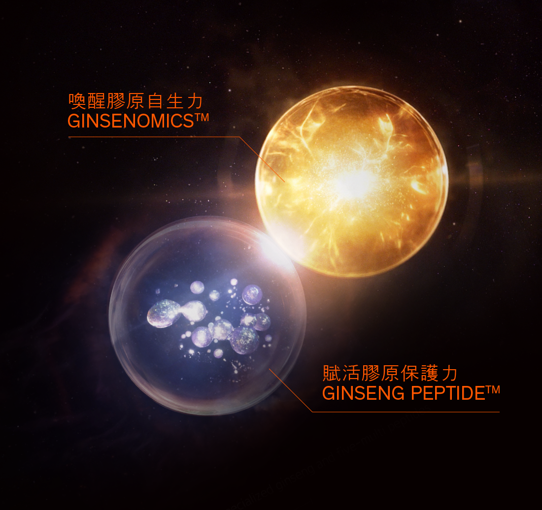 全新升級版人參面霜蘊含2大人參成分，發揮極緻人參協同效應，賦活膠原自生力及保護力。