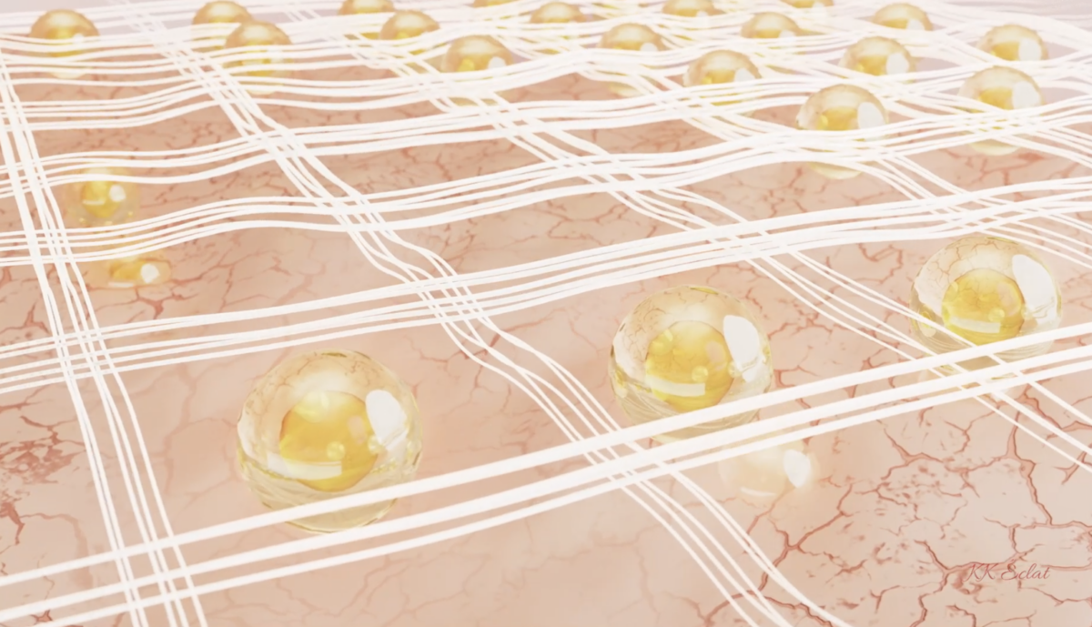 「納米格技術」能令活性成分全面徹底滲透入肌底，發揮最強功效。