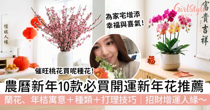 【年花2026】10款開運新年花推薦|蘭花、年桔寓意+種類與打理技巧,一次掌握招財增運人緣