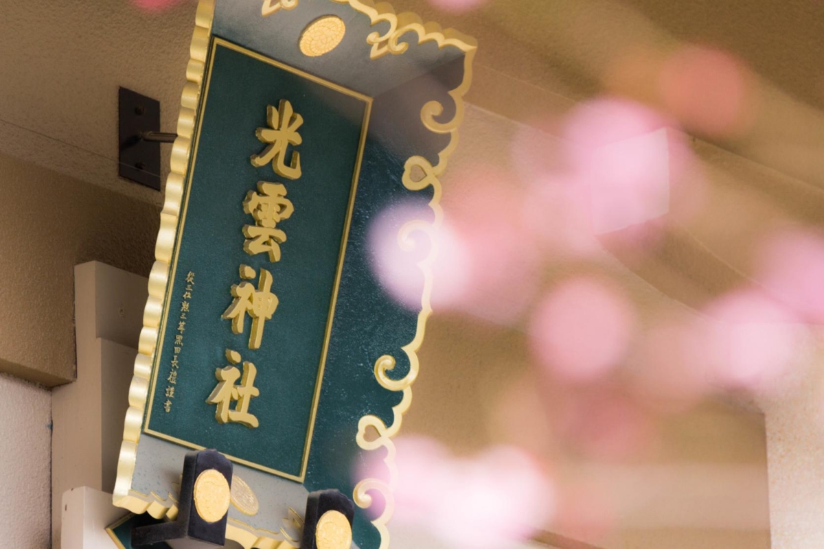 每逢櫻花季,通往神社的道路兩旁櫻花盛開,神社內更是被粉色花海環繞,營造出浪漫又莊嚴的氛圍。